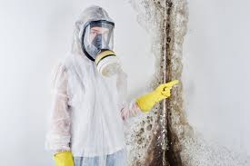  Berlin, OH Mold Removal Pros